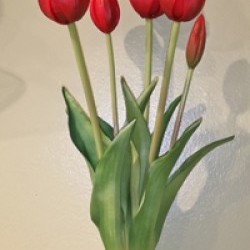 19IN TULIP BUNDLE/5