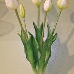 19IN TULIP BUNDLE/5