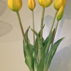 19IN TULIP BUNDLE/5