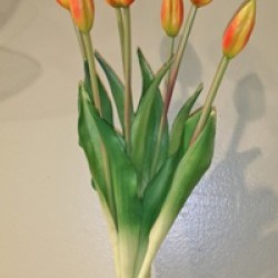 17.5IN TULIP BUNDLE/7
