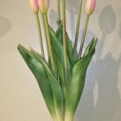 17.5IN TULIP BUNDLE/7