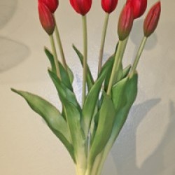 17.5IN TULIP BUNDLE/7