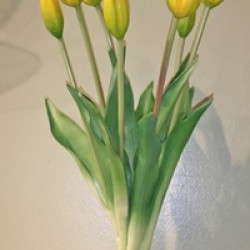 17.5IN TULIP BUNDLE/7