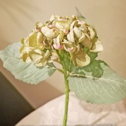 13IN HYDRANGEA SPRAY