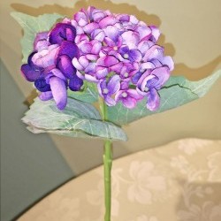 13IN HYDRANGEA SPRAY