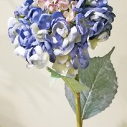 22IN/D7 HYDRANGEA SPRAY