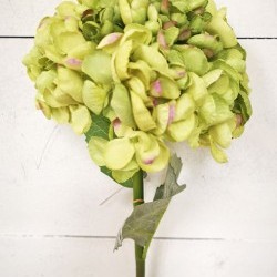 22IN HYDRANGEA SPRAY