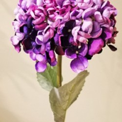 22IN HYDRANGEA SPRAY