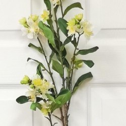 43IN WILD PEONY SPRAY