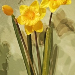 Item # PL145 YEL - 19IN DAFFODIL