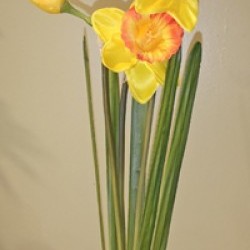 19IN DAFFODIL