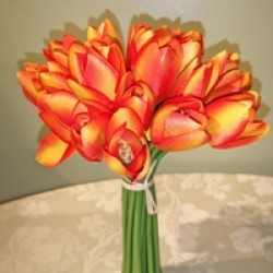 6X7X11 TULIP BUNDLE/24