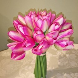 6X7X11 TULIP BUNDLE/24
