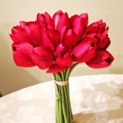 6X7X11 TULIP BUNDLE/24