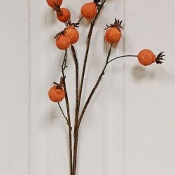 29.5 ROSEHIP SPRAY