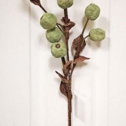 23IN CRAB APPLE SPARY