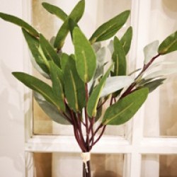 10IN OLIVE LEAF BUNDLE