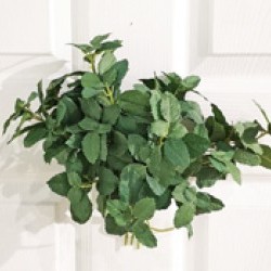 8IN MINT BUNDLE/6