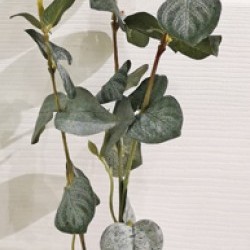 15IN EUCALYPTUS SPRAY