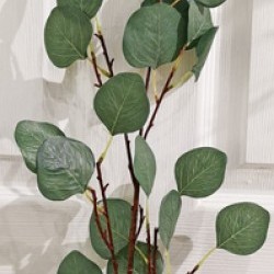 20IN EUCALYPTUS SPRAY