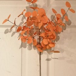 28IN EUCALYPTUS SPRAY