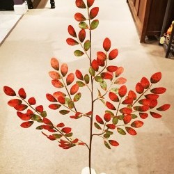 37IN WALNUT SPRAY