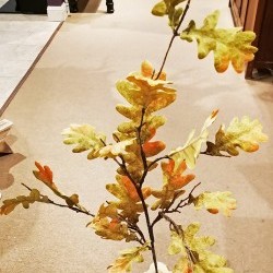 46IN OAK LEAF SPRAY