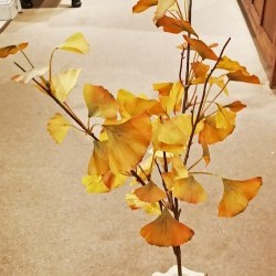 46IN GINGKO LEAF SPRAY