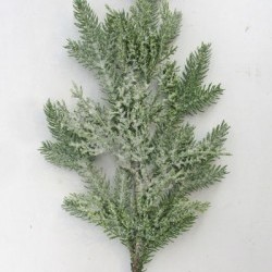 21IN PINE SPRAY