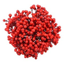 6 RED BERRY BUNDLE