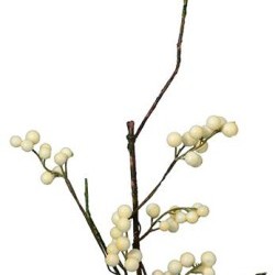 16" WILD BERRY STEM/24PC
