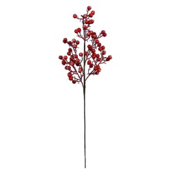 6"X25" BERRY SPRAY