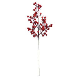 6"X25" BERRY SPRAY