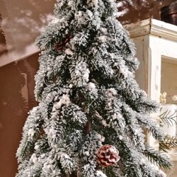 15X15X48 PENCIL PINE TREE