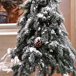 18X18X59 PENCIL PINE TREE