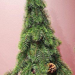 13X13X35 PENCIL PINE TREE