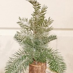 16IN PINE IN BIRCH POT