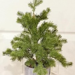 17IN PINE TREE