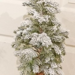 22IN PINE TREE IN JUTE BASE
