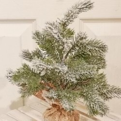 12IN PINE TREE IN JUTE BASE