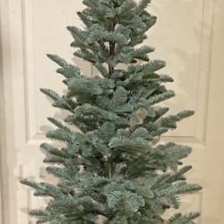 71IN TALL PINE TREE