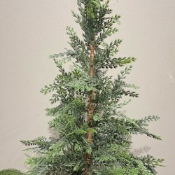 24IN PINE TREE RATTEN POT