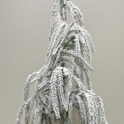 26IN WEEPING SNOW PINE TREE