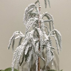 20IN SNOW WEEPING PINE TREE