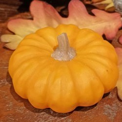 3.15X1.40 FLAT PUMPKIN