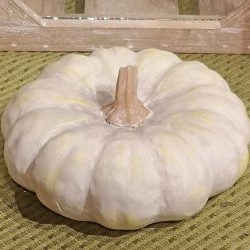 5X5X2.35 FLAT PUMPKIN