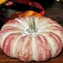 5X5X2.35 FLAT PUMPKIN