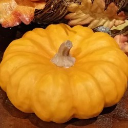 7.25X7.25X3 FLAT PUMPKIN