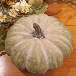 Item # RU2273 GRN - 10X10X4.5 FLAT PUMPKIN