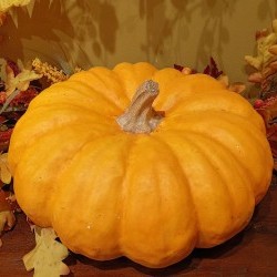 12X12X5.5 FLAT PUMPKIN
